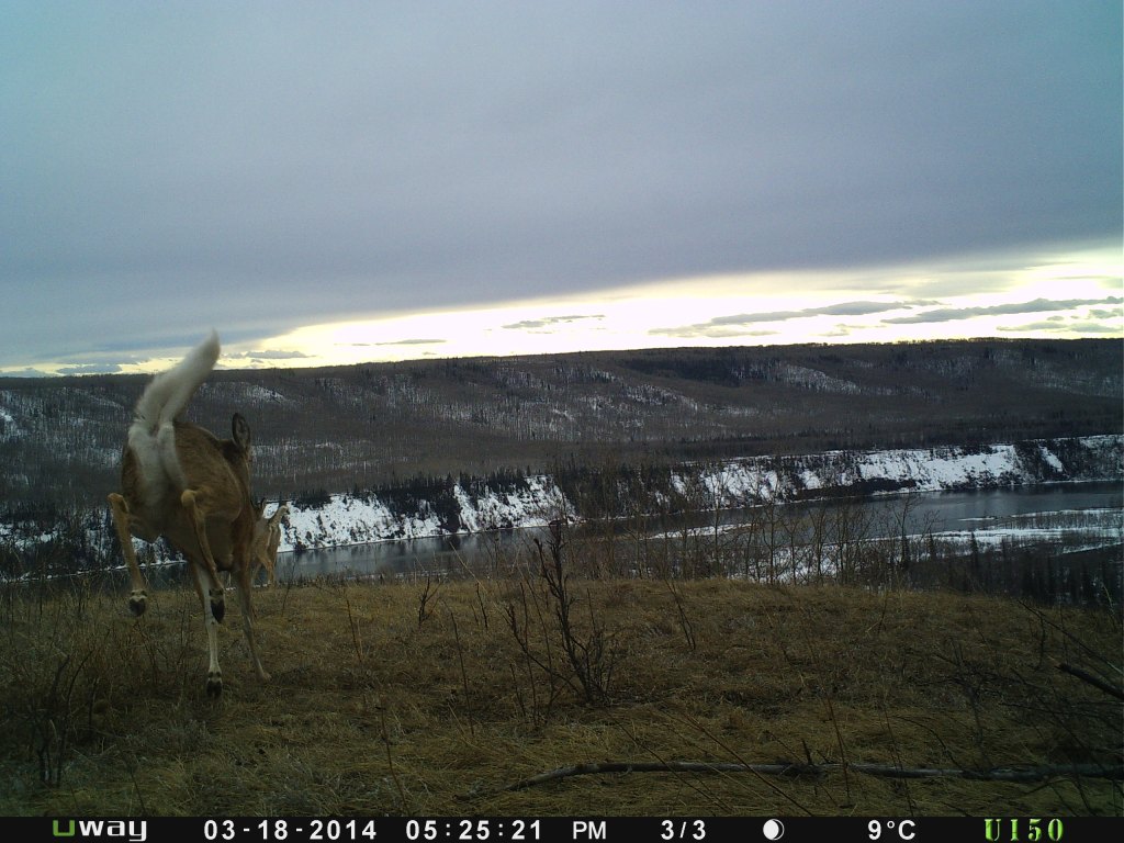 P057-429-256-316-10079