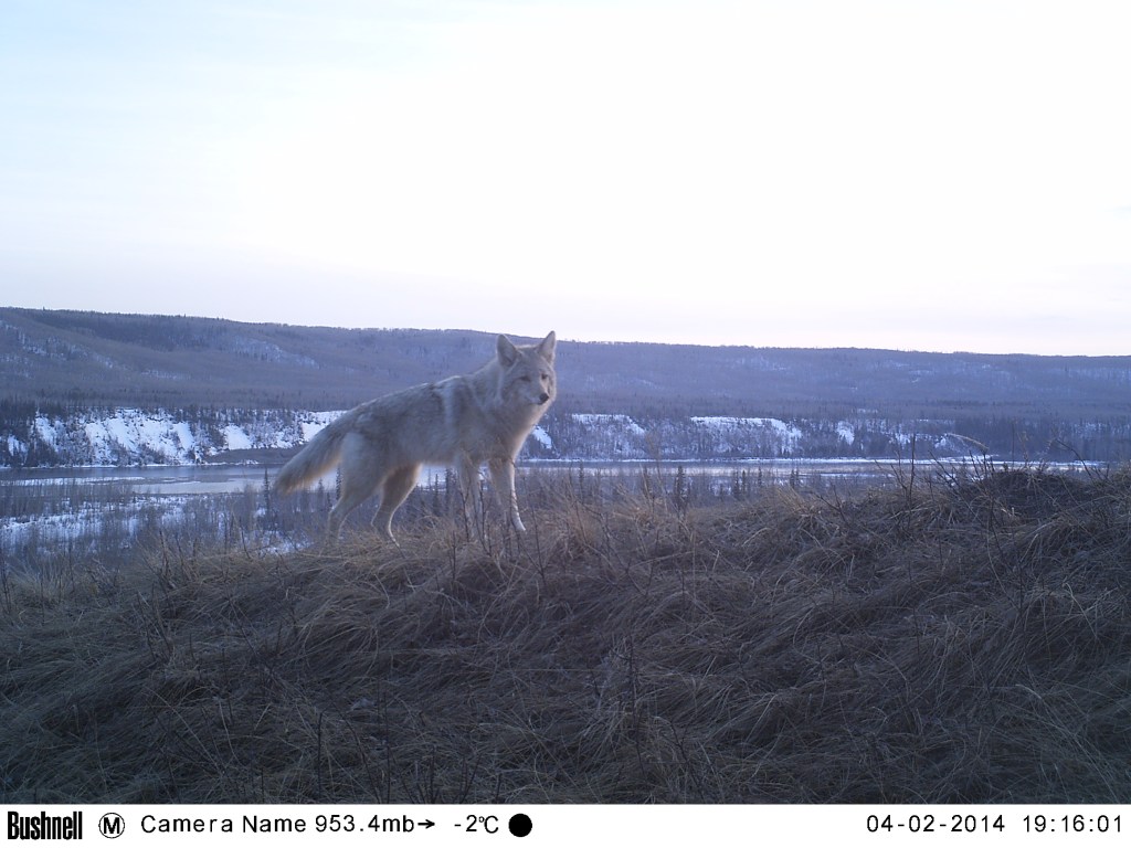 M2E56L196-196R408B312