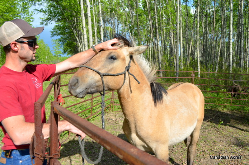 Clay meeting Thor for the first time - love the stripe down his back