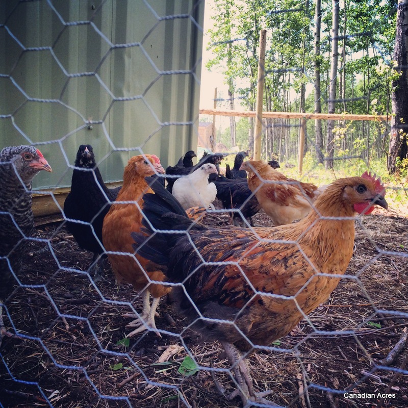 Our first group outing