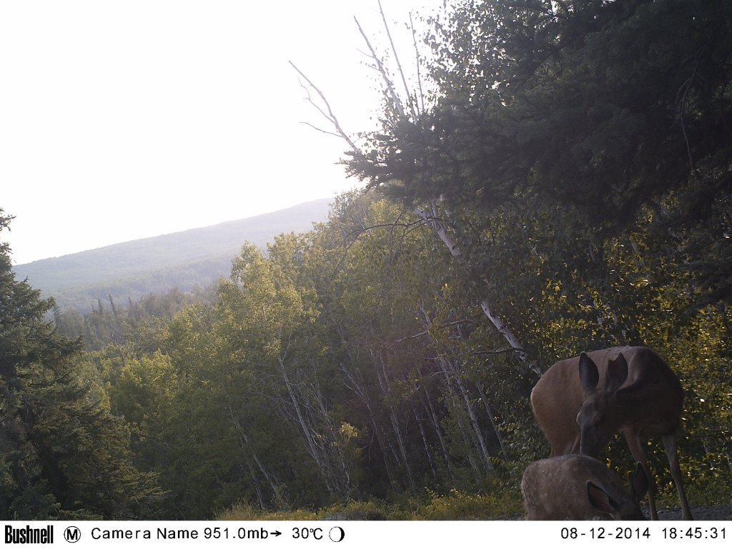 M2E73L221-221R408B329