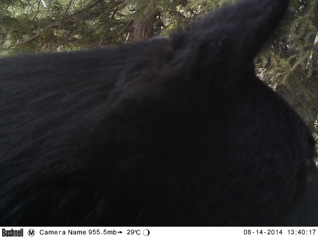 M2E62L206-205R408B322