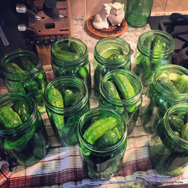 11863331_10153601638502959_4713058634279907157_n