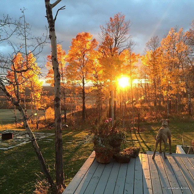 12119090_10153697948357959_6322904418634194563_n