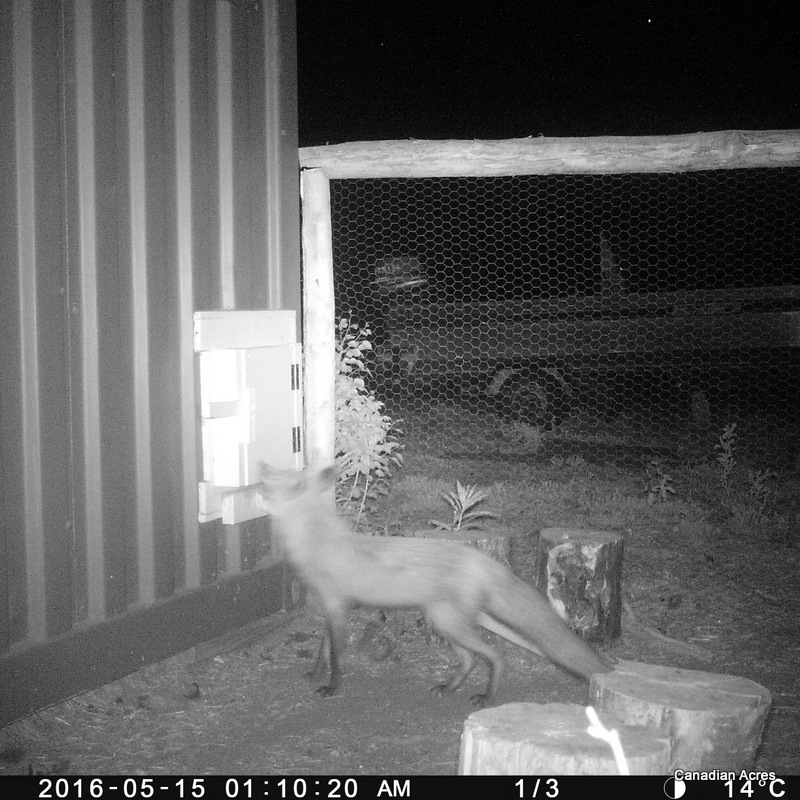 P019-256-256-256-17f006