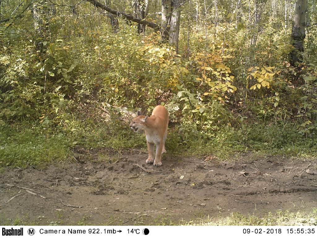 M2E57L201-201R408B317