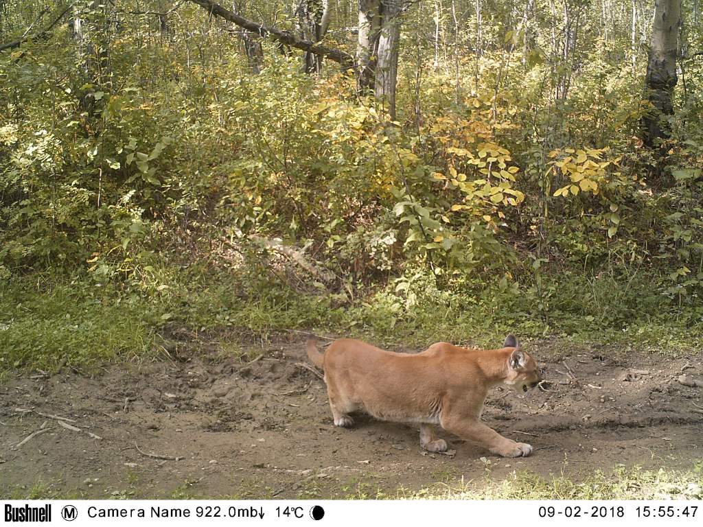 M2E57L201-201R408B317