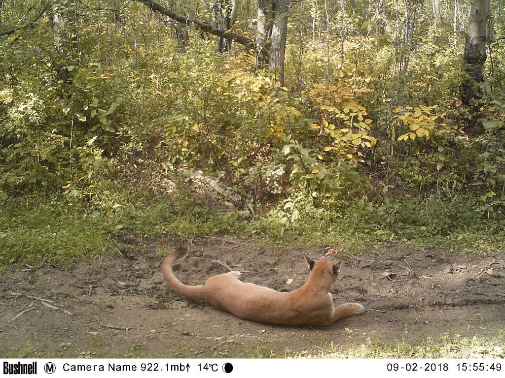 M2E57L201-201R408B317