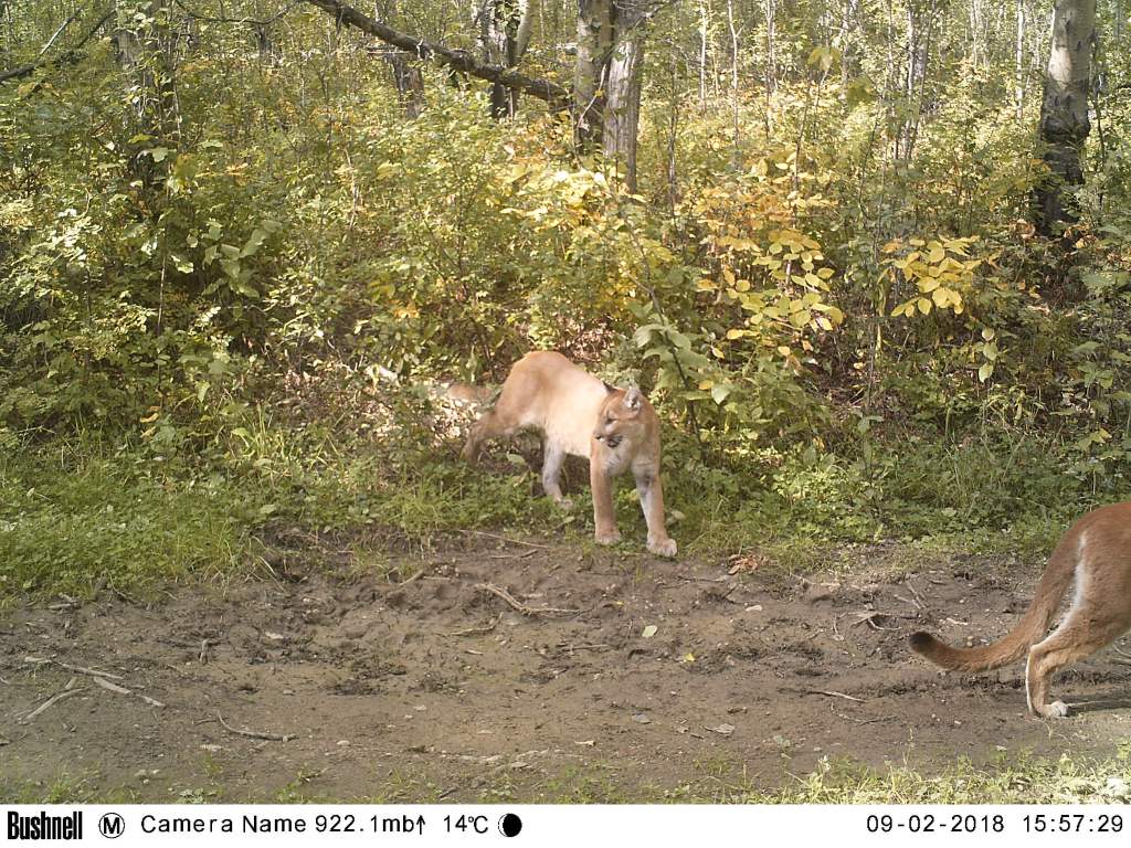 M2E56L200-200R408B316